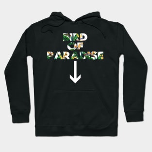 Birds of Paradise Hoodie